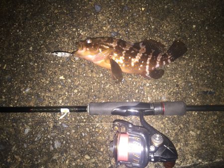 小雨の中ライト